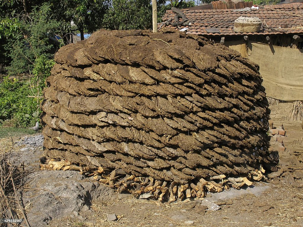 Cow Dung