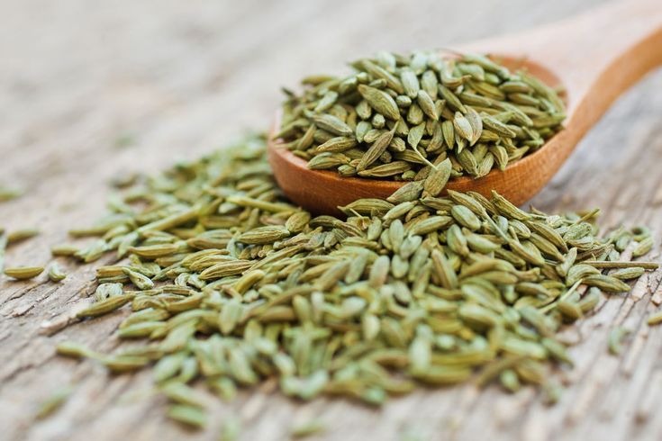 Fennel Seeds