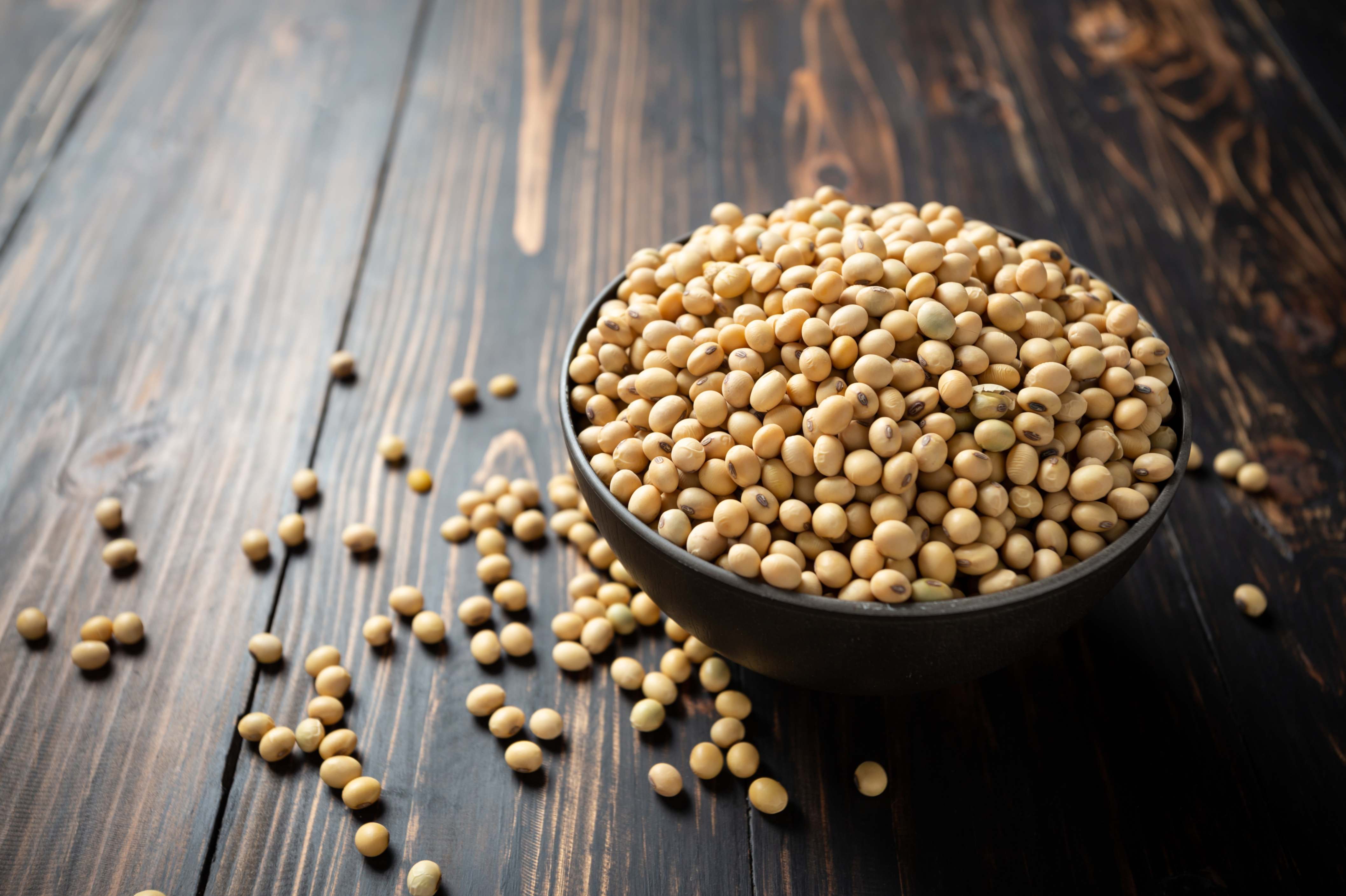 Soya Bean