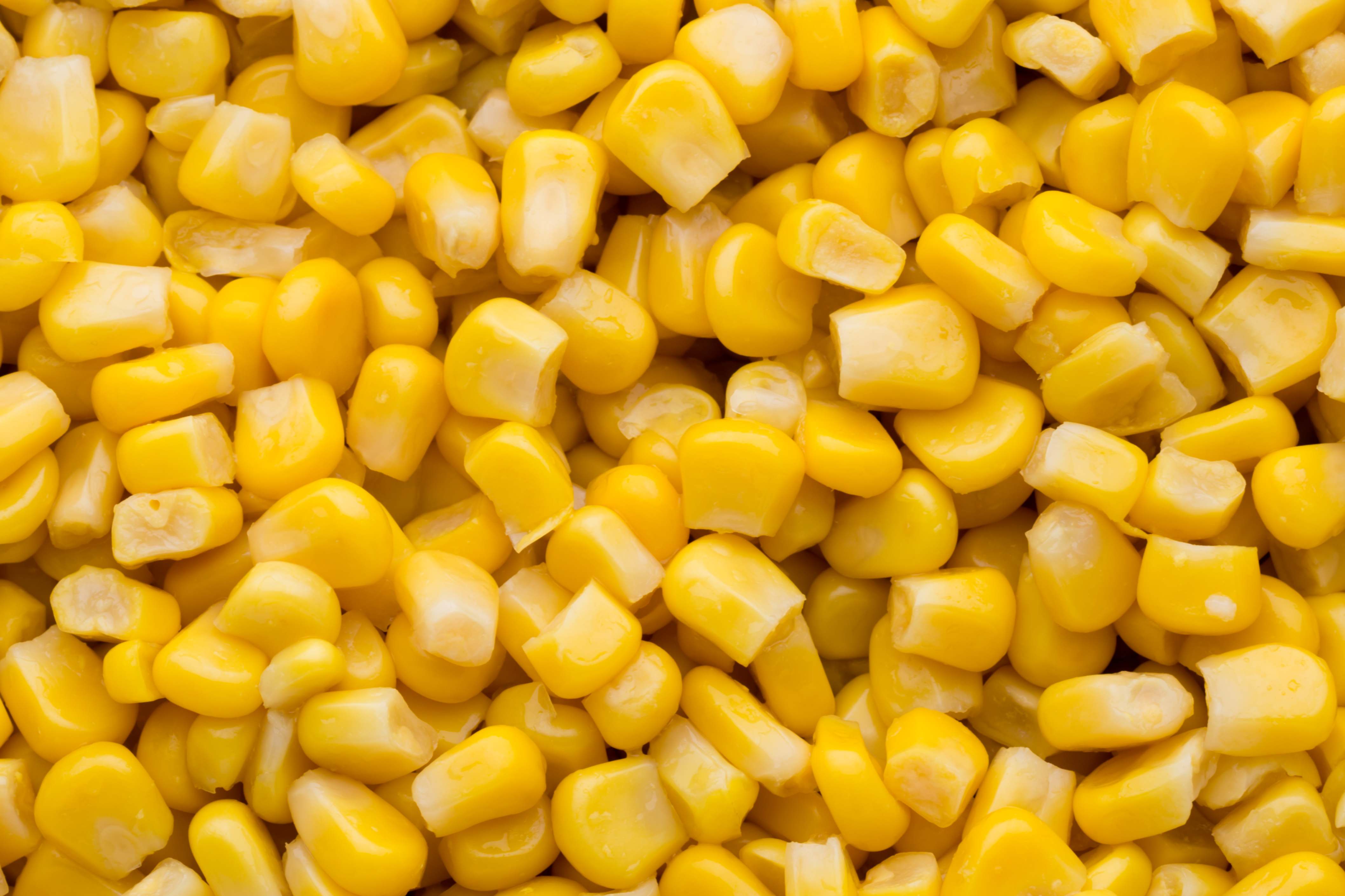 Yellow Maize